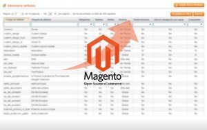 Edicion atributos tienda online magento