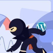 WordPress Pagespeed