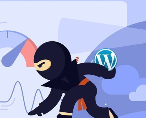 WordPress Pagespeed